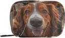 Wöchentlich Pill Organizer Gruppe Hunde Golden Retriever kleine Pille Box Tasche Portable Reise Pille Case 7 Tage Vitamin Supplement Halter mit Reißverschluss für Familien Business Camping