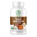 | Reishi Mushroom Kapseln | 60 Vegan Adaptogen Kapseln für Immununterstützung & Stress Relief | USDA Zertifiziert, Non-GMO, natürliche Wellness-Ergänzung