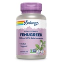 SOLARAY Fenugreek Seed Extract 700 mg - Fenugreek Kapseln mit 65% Galactomannan Dietary Fiber - Non-GMO, Vegan Fenugreek Supplement für gesunde Verdauung Unterstützung - 45 Servierungen, 90 VegCaps