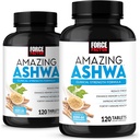 Kraftfaktor Erstaunlich Ashwa, KSM-66 Ashwagandha Beilage für Stressentlastung, Fokus, Gedächtnis, Immununterstützung, Mit Vitaminen, Mineralien & Antioxidantien, Cortisol Beilagen für Frauen, 240 Tabletten (2-Pack)