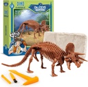 Geoworld Triceratops Dino Dig Kit – Erstellen Sie ein 8-Zoll-Authentic Dinosaur Skeleton Modell – Ultimate STEM Lernerlebnis für Kinder Alter 6+