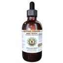 Red Root Alcohol-Free Liquid Extract, Red Root (Ceanothus Americanus) Getrocknet Root Bark Glycerite Natural Herbal Supplement, Hawaii Pharm, USA 2 fl.oz
