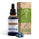 Secrets of the Tribe Bilberry Fruit USDA Organic | Alkoholfreier Extrakt, hochkarätige Kräutertropfen, Vision | Aus 100% zertifizierter Bio Bilberry (Vaccinium Myrtillus) Getrocknete Frucht 2 Unze