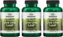 Swanson Full-Spectrum Uva Ursi Leaf - Kräuterergänzung Unterstützung Kidney & Urinary Tract Gesundheit - Kann Unterstützung Herz-Kreislauf-System Funktion & Blasen Gesundheit - (100 Kapseln, 450mg Jeder) 3 Pack