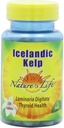 Nature's Life Kelp, Icelandic, 41 Mg, Laminaria Digitata, 250 Tabletten, (Pack von 2)
