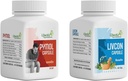 Generisches Dalal Pymol+Livcon Capsule(30 Cap) Schnell entlasten bei Blutungen, Brennen und Schmerz ich für Piles, Fissure. Fistula, Entzündung & Rectum