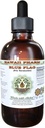 Blaue Flagge Alkoholfreier Flüssigextrakt, Bio-Blaue Flagge (Iris versicolor) Getrocknete Wurzel Glycerit Hawaii Pharm natürliche Kräuterergänzung 2 oz