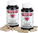 Kroeger Kräuter Produkte Candida Formel #1 und #2, Clease Supplement für Damen und Herren - Unterstützt normale Ebenen von Hefe und Candida