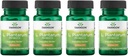 Swanson L. Plantarum - Verdauungsergänzung Gastrointestinal Balance & Bowel Regularity fördern - Natürliche Formel, um Bloating zu reduzieren - (30 Veggie Kapseln) 4 Pack