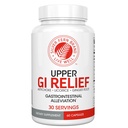 Silber Fern GI Relief - Natürliche Kräuterergänzung - Alle natürlichen mit Artichoke Blatt Extrakt, Ginger Root Extract, und GutGuard Licorice Flavonoids (1 Flasche - 60 Kapseln - 30 Tage Versorgung)