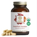 PURE SYNERGY SuperPure Fucoidan Extrakt | Glutenfreie Fucoidan aus Bio Brown Seaweed | für Immungesundheit, Verdauung und gesundes Altern (60 Kapseln)