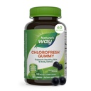 Nature’s Way Chlorofresh Chlorophyll Gummis, Unterstützt gesunde Haut und Körper Detox*, interner Deodorant*, Obst Obst gefressen, 60 Gummis