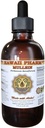 Mullein Liquid Extract, Organic Mullein (Verbascum densiflorum) Tinktur, Kräuterergänzung, Hawaii Pharm, Made in USA, Hawaii Pharm, Made in USA 2 fl.oz
