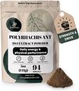 Jungle Powders Black Ant Extract Powder 30:1 Konzentration, 94 Portionen - 5 Unzen reiner Polyrhachis Black Ant Supplement, Filler Free Changbai Mountain Ant Traditional Mens Health Support for Drive