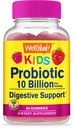 WellJa Probiotics für Kinder Gummi -10 Billion CFU - für Gut Gesundheit, Immun Gesundheit und Verdauungsunterstützung - Berry Flavor Chewable Supplement - Vegan, Non GMO, Gluten Free Kids Probiotic -60 Gummis