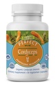 Perfekte Ergänzungen – Perfekte Cordyceps – 90 Vegetable Capsules – Organic Adaptogenic Herbal Supplement – Erhöht Energie, Ausdauer & Kraft