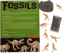 Fun Express Machen Sie Ihr eigenes Fossil Craft Kit - macht 12