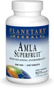 PLANETARY HERBALS Amla Super Fruit Rejuvenating Antioxidant Supplement, 240 Count