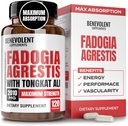 Fadogia Agrestis 1500mg [höchste Reinheit] + BioPerine® für hohe Absorptionsergänzung mit Tongkat Ali - Steigern Sie Stamina, Lean Muscle Growth & Recovery, Boosts Drive 3. Partei getestet 120 Kapseln