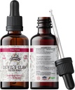 Devil's Claw Tincture Alcohol Free Organic Extract (Harpagophytum Procumbens) Herbal Supplement, Non-GMO in Kaltgepresstem Bio Gemüse Glycerin, 700 mg, 2 Unzen (60 ml)