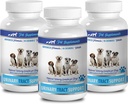 Hundeinkontinenz-Ergänzung - DOG URINARY TRACT SUPPORT - NATURAL CRANBERRY SOLUTION - BLADDER HEALTH - VET RECOMMENDED - Wacholderbeere für Hunde - 3 Flasche (270 Bäume)
