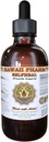 Selbstheilmittel Extrakt, Organische Selbstheilung (Prunella Vulgaris) Tinktur, Kräuterergänzung, Hawaii Pharm, Made in USA, 4 fl.oz
