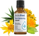 N Labs Arctic Blast Premium Themen Schmerzlinderung Tropfen – Schnelle absorbierende DMSO, Menthol & Camphor für Rücken, Knie, Schulter, Gelenk & Muskelschmerzen – Cooling Rub Formula – Made in USA – 1 fl oz