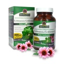 Nature's Answer Echinacea & Goldenseal | Nahrungsergänzung | Unterstützt ein gesundes Immunsystem | Non-GMO & Kosher Zertifiziert | Vegetarisch/Vegan Kapseln 90ct