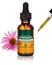 Herb Pharm Certified Organic Echinacea Root Liquid Extract für Immunsystemunterstützung, Organic Cane Alcohol, 1 Unze (DECH01)