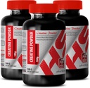 Body Builder für Herren - CREATINE Powder 100G - Creatine Bulk - 3 Flasche (Powder)