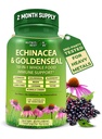 Echinacea Goldenseal Kapseln - 10 in 1 Immununterstützungsergänzung - 1455mg - Vegan Echinacea Kapseln Ergänzung Made With Organic Whole Foods - Herbal Immunsystem Unterstützung - 2 Monate Versorgung
