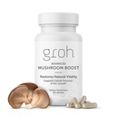 Groh Daily Vitality Boost - All Natural Hair Growth Supplement powered by ErgoD2 - Reich an Antioxidantien - Vitamine für stärkeres Haar, Haut und Nägel - Beste Wahl für dünnes Haar - 60 Zähler