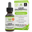 Benevolent Chlorophyll Liquid Drops – Detox & Immune Support, Interne Deodorizer & Skin Health Supplement, Non-GMO, 4 Monate Versorgung, natürliche Minz Geschmack