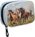 Fustylead Horses Galloping auf der Grassland Ölgemälde Pille Organizer Case mit Reißverschluss 2 mal ein Tag für Vitamin und Supplement, 7 Tage Reise Organizer Medizin