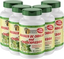 Sunshine Naturals Guisazo & Chancapiedra Kräutermischung, Natürliche Nahrungsergänzung für Wellness-Unterstützung, 90 Kapseln. Pack von 5