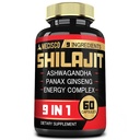 Shilajit Ergänzung mit Ashwagandha Root, Panax Ginseng, L-Arginin, Chaga & More - Shilajit Pure Himalayan Organic - Immunsystem, Energieproduktion, Stamina & Bequeme Stimmung - 60 Kapseln