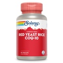 SOLARAY Red Yeast Rice Plus CoQ-10 & No-Flush Niacin Vitamin B-3, Healthy Heart & Cardiovascular Support, Non-Irradiated & Citrinin Free, 60 Tage Geld zurück Garantie, 90 Servierungen, 90 VegCaps