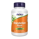 JETZT Nahrungsergänzungsmittel, Dandelion Wurzel (Taraxacum officinale) 500 mg, Kräuterergänzung, Für Diät, 100 Veg Kapseln