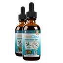 Rejuvica Health IntestiClear - Advanced Intestinal Cleanse Support for Humans - All-Herbal Liquid Formula for Fast Absorption - Bonus Liver Support - Wormwood, Black Walnut, Ginger und mehr